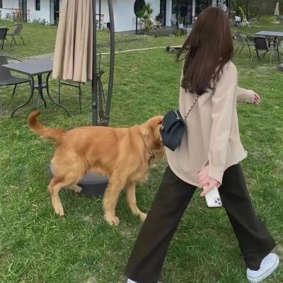 蒙娜丽莎的微笑