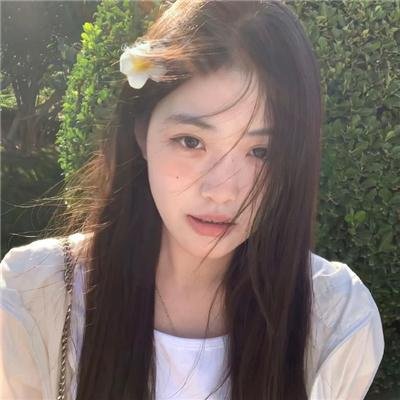玉米上的麻雀